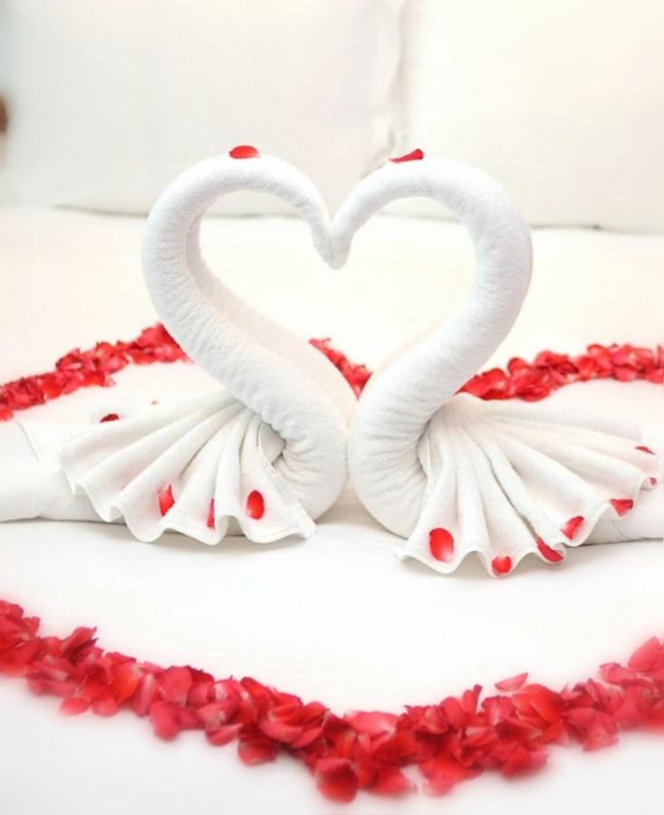 Jacuzzi Massage Sur Rdv,Duo,Reiki,Californien, Reflexologie Plantaire, Et Bouteille Mousseux Offerte Bed and Breakfast Ferolles Exteriör bild